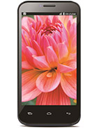 Best available price of Lava Iris 505 in Elsalvador