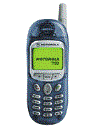 Best available price of Motorola T190 in Elsalvador