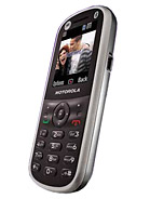 Best available price of Motorola WX288 in Elsalvador