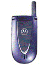 Best available price of Motorola V66i in Elsalvador